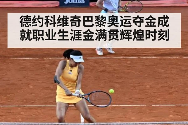 德约科维奇巴黎奥运夺金成就职业生涯金满贯辉煌时刻